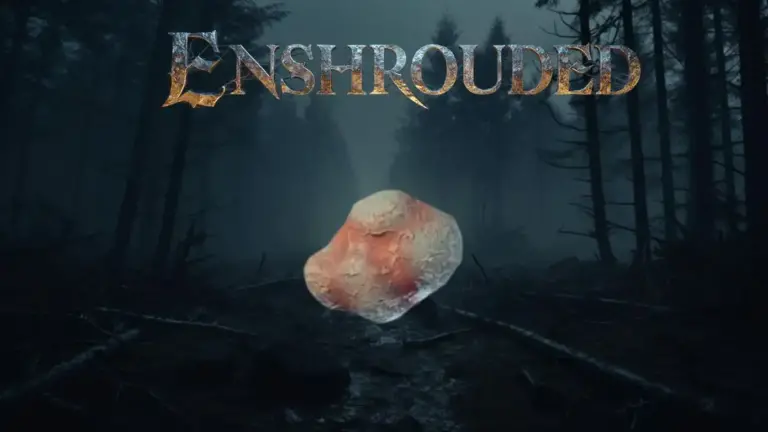 Enshrouded Shroud Sack, How to Get Shroud Sack?