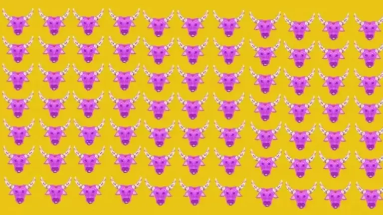 Eye Test Optical Illusion: One Of The Design Patterns Of The Cow Face Is Different From The Others. Can You Find It?