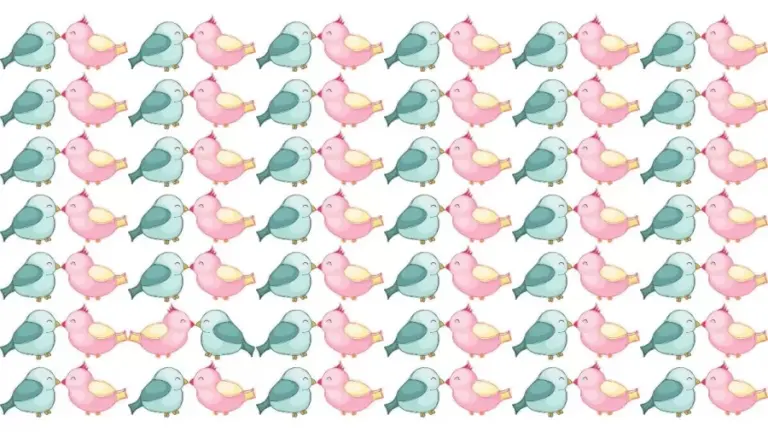 Find The Odd One - Can You Find The Odd Bird In 22 Secs? Brain Teaser