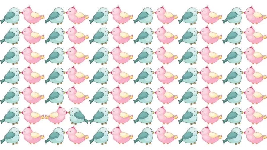 Find The Odd One - Can You Find The Odd Bird In 22 Secs? Brain Teaser