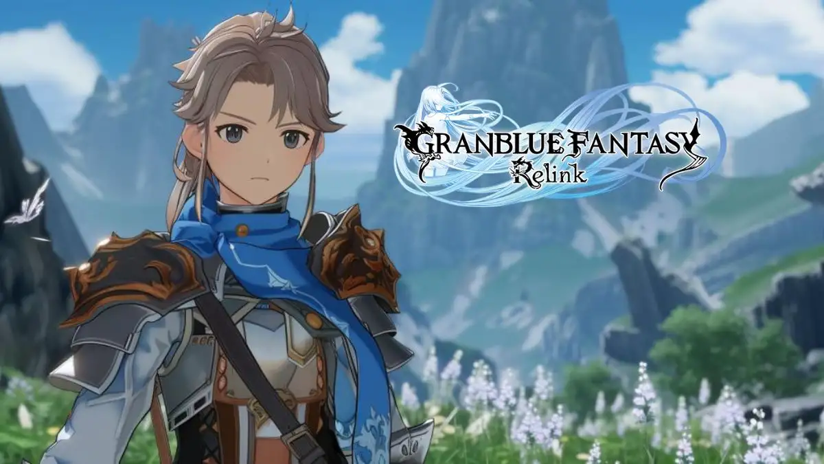 Granblue Fantasy Relink Player Count, What is the Healthy Player Count for Games?