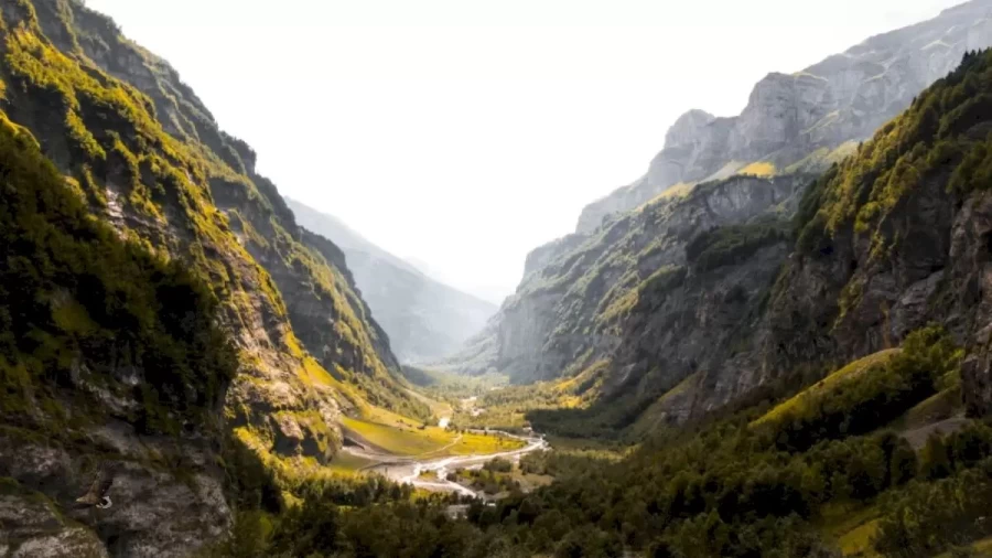 Hawk Search Optical Illusion: You Won’t Believe That There Is A Hawk In This Valley, Until You Find