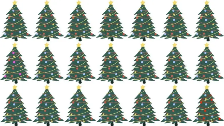 How Many Christmas Trees Can You Note That Does Not Fit In This Group? Brain Teaser Eye Test