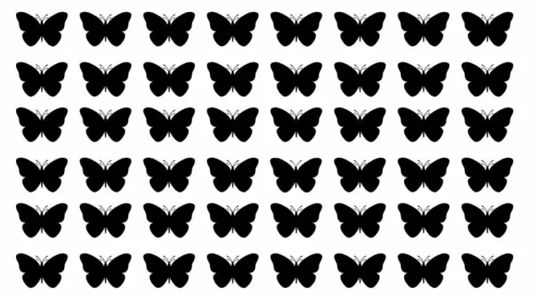 Odd Silhouette Optical Illusion: One Of These Butterfly Silhouettes Is Different From The Others. Can You Detect It Within 21 Seconds?