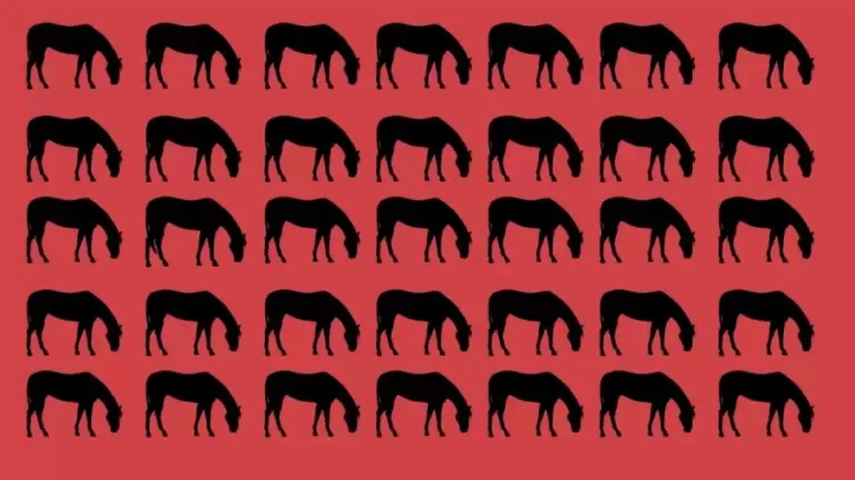 Odd Silhouette Optical Illusion: Only 5% Can Find The Odd Horse In This Image. Can You?