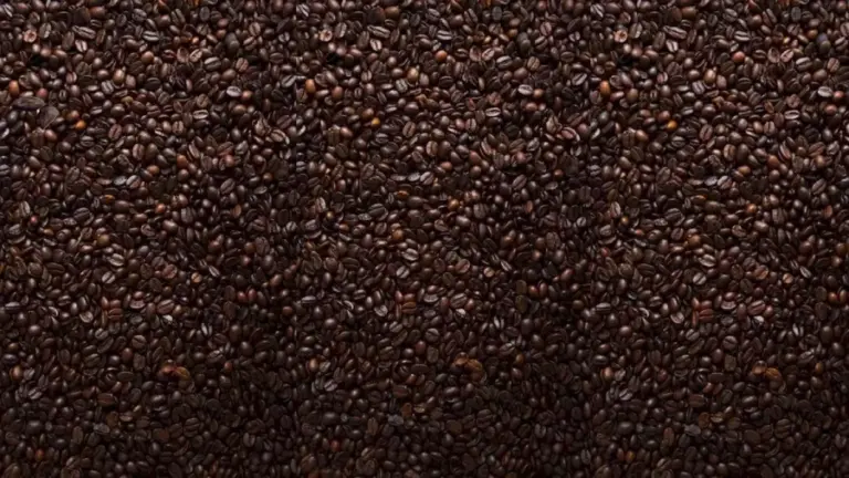 Optical Illusion: Can You Spot Two Cocoa Beans Among These Coffee Beans In This Picture?