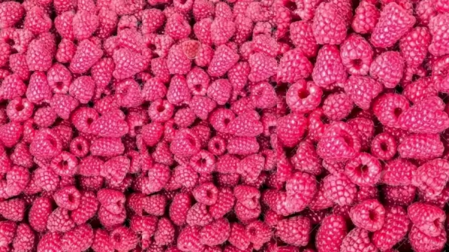 Optical Illusion Challenge: Can You Spot a Pink Raspberry Among the Fruits in 12 Seconds?