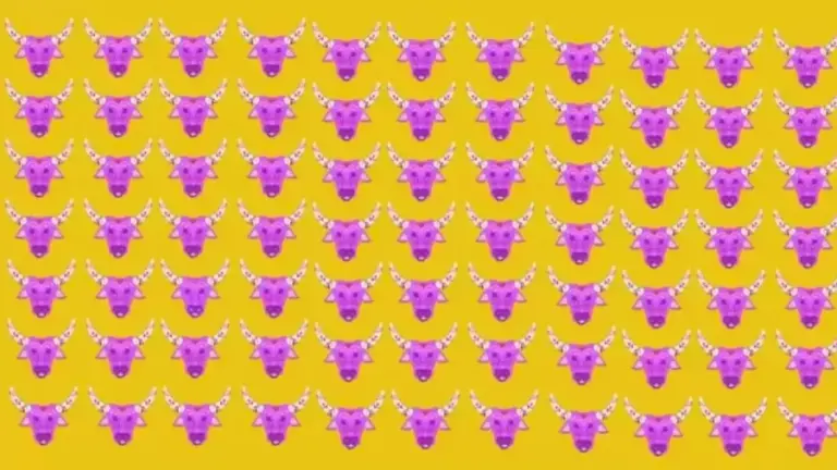 Optical Illusion Challenge : One Of The Design Patterns Of The Cow Face Is Different From The Others. Can You Find It?