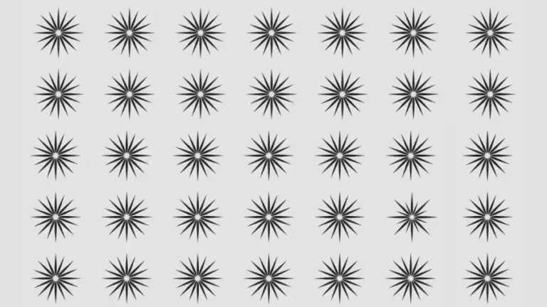 Optical Illusion Challenge: One Of The Stars Is Different From The Others. Can You Spot It Within 16 Seconds?