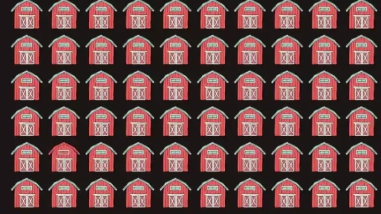 Optical Illusion Eye Test: Can You Find The Different Barn?