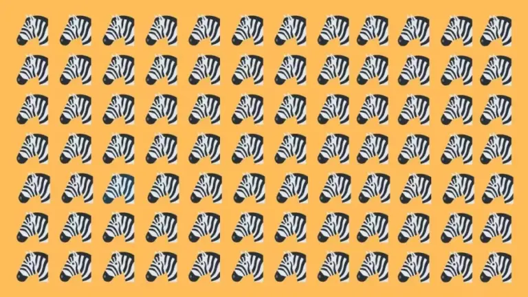 Optical Illusion Eye Test: One Of These Zebras Is Different From The Others. Do You See It?