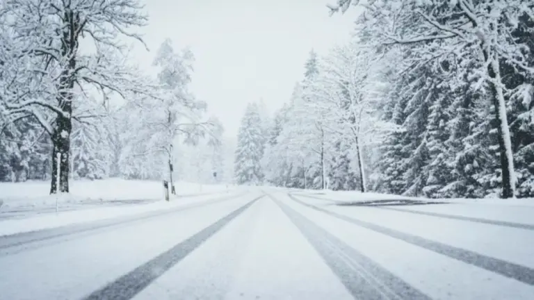 Optical Illusion For Brain Test: You Are A Brilliant If You Detect The Snow Owl In This Picture Within 18 Seconds