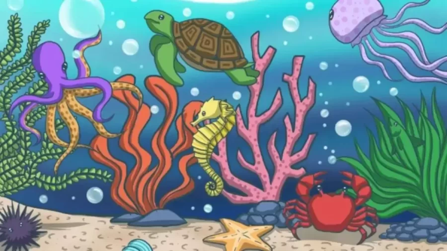 Optical Illusion For Eye Test: Only Hawkeyes Spot The Fish In This Underwater Scene In Less Than 15 Seconds. Can You?