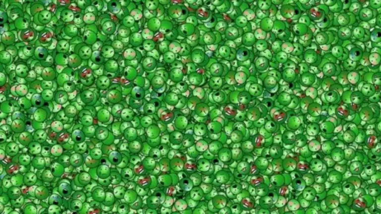 Optical Illusion For IQ Test: Can You Spot The Laughing Pea in 18 Secs?