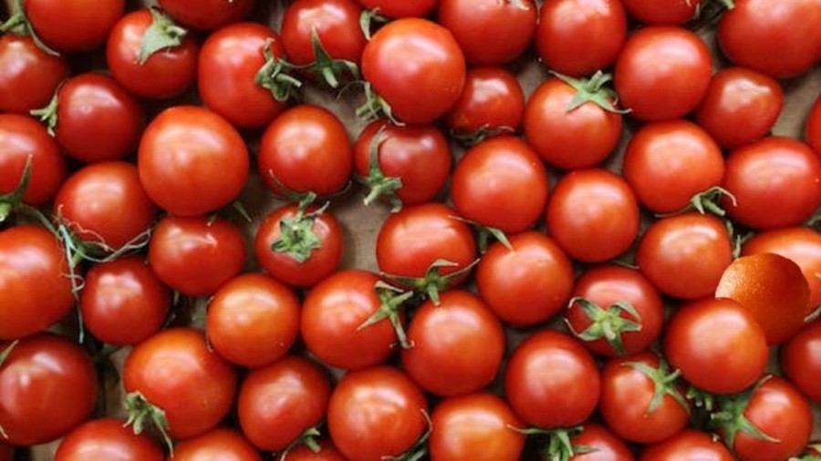 Optical Illusion For Sweet Lovers! Among These Tomatoes, Can You Find The Gulab Jamun Within 13 Seconds?