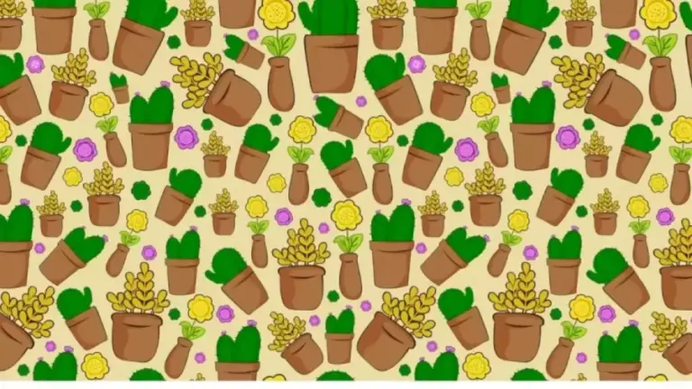 Optical Illusion For Visual Test: Can You Find The Button Among These Flowers In Less Than 15 Seconds?