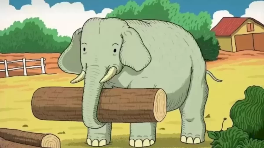 Optical Illusion: Help The Elephant To Find His Friend