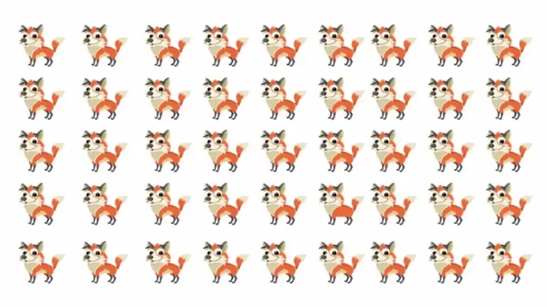 Optical Illusion: If You Thought All Of These Foxes Are Same, Then You Are Wrong. One Of Them Is Different From The Others. Do You See It?