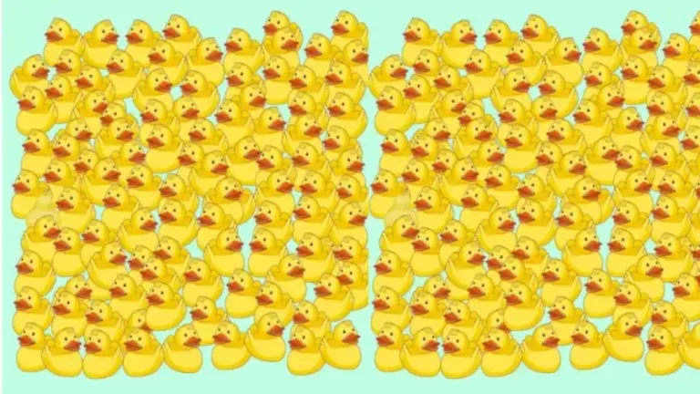 Optical Illusion Pear Search: Can You Find The Pear Between All The Ducks In 5 Secs?