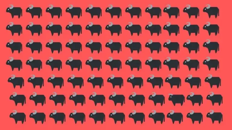 Optical Illusion To Test Your Eyes! Identify The Bull Among These Buffaloes Within 14 Seconds