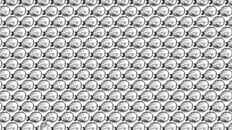 Optical Illusion To Trick Your Eyes: Within 8 Seconds, Spot The Hidden Porcupine In This Optical Illusion