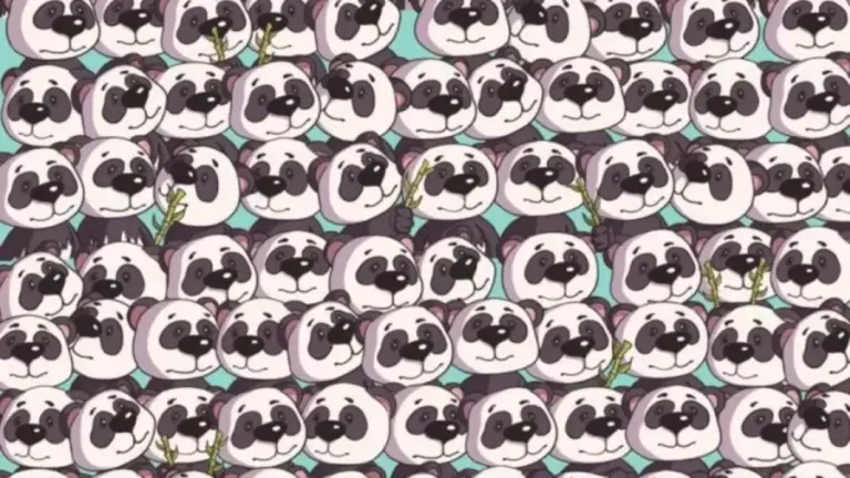 Optical Illusion Visual Test: Can You Find A Dog Hidden Among These Pandas Within 19 Seconds? Explanation And Solution To The Hidden Dog Optical Illusion