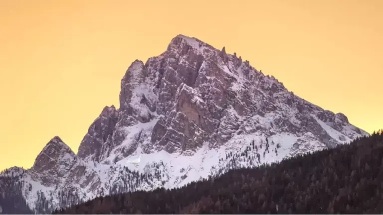 Optical Illusion Visual Test: In This Snow Covered Mountain, Try To Spot The Dove In Less Than 9 Seconds