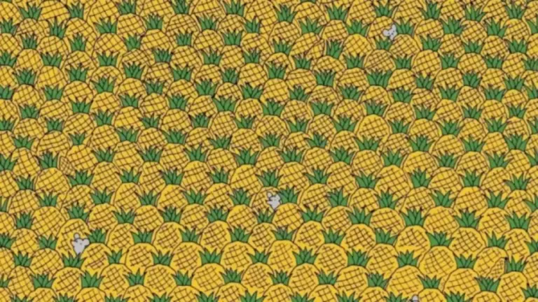 Seek And Find Optical Illusion: Eagle Eyes Can Spot Four Corns Among the Pineapples in 45 Secs