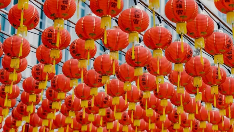 Squirrel Search Optical Illusion: If You Have Hawkeyes Spot The Squirrel Among These Hanging Paper Lanterns Within 13 Seconds