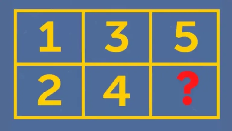 Tricky Brain Teaser - What Comes Next In The Series? It Is Not 6!